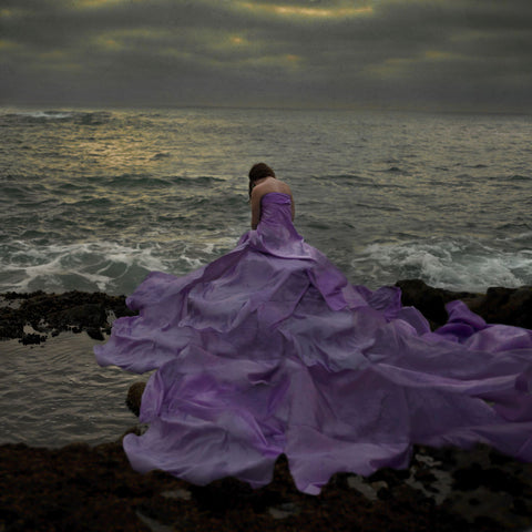 The Purple Daydream by Mandy Rosen Photography