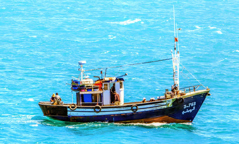 Fishing Boat - Canvas Prints