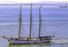 A Schooner - Large Art Prints