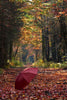 Umbrella - Large Art Prints