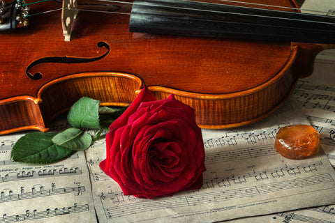 Violin And Rose - Posters by Iryna Prykhodzka
