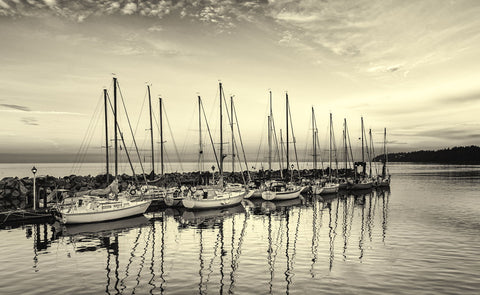Sailboats At Crack Of Dawn by Lone Tree Photography