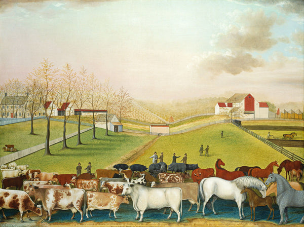 The Cornell Farm - Canvas Prints