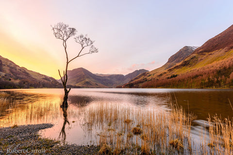 Still Standing - Large Art Prints by Robs Online Photo Gallery