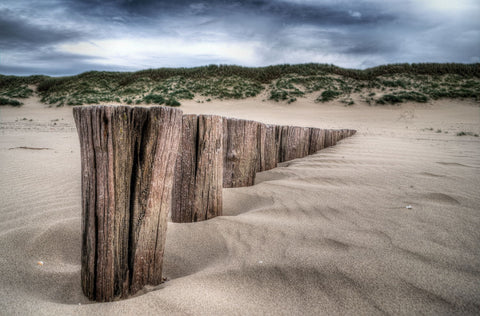 Wood, Sand and The Beach by Watze D. De Haan
