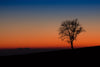 Sunset - Canvas Prints