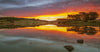 Morning Glow - Art Prints