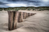 Wood, Sand and The Beach - Canvas Prints