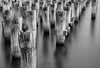Princess Pier - Framed Prints