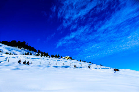 Snow - Large Art Prints