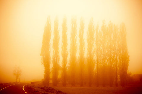 At The Bend Of The Road - Large Art Prints by AnneCecile Art