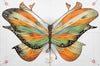 Big Coloured Butterfly - Framed Prints