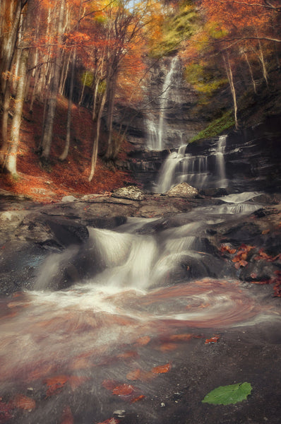 Fall In Love - Framed Prints