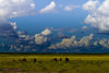 Storm Brewing - Canvas Prints
