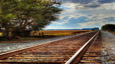 Forever Tracks - Canvas Prints by Creative Photography