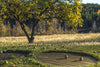 Autumn Scene - Canvas Prints