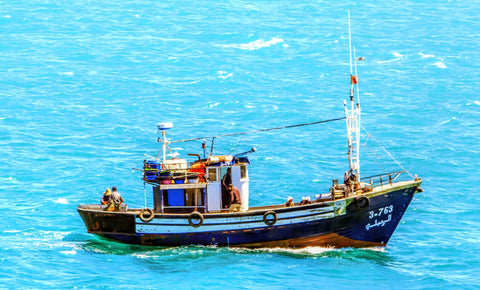 Fishing Boat by Loethen