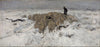 Flock Of Sheep With Shepherd In The Snow - Canvas Prints