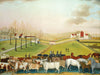 The Cornell Farm - Large Art Prints