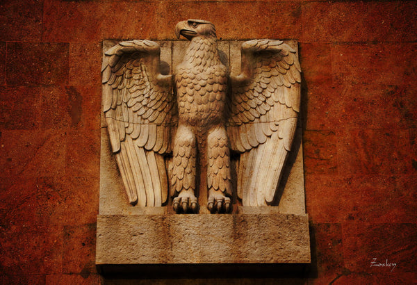 Eagle - Canvas Prints
