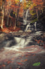 Fall In Love - Framed Prints