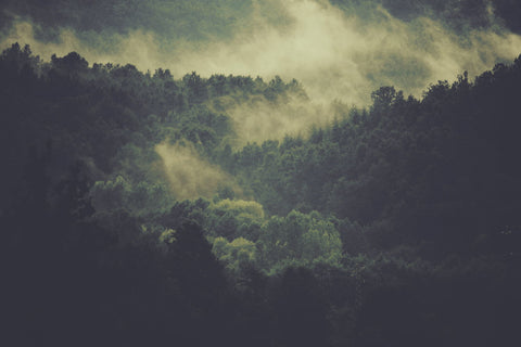 Vastness Of Nature - Art Prints by Samuel Balthis