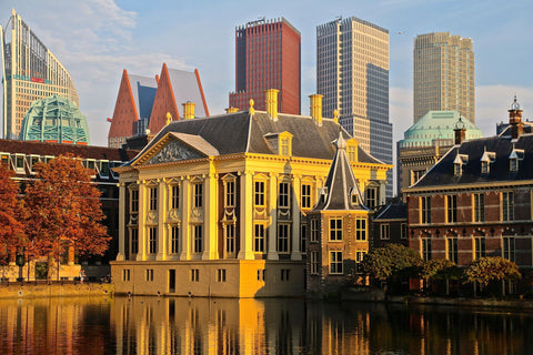 The Government - Large Art Prints by Floriske Gerritsma