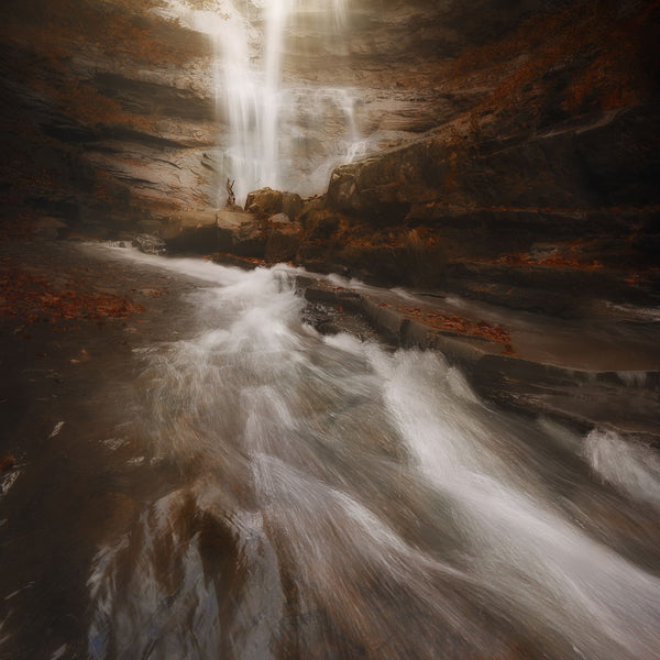 Wishing Autumn - Large Art Prints