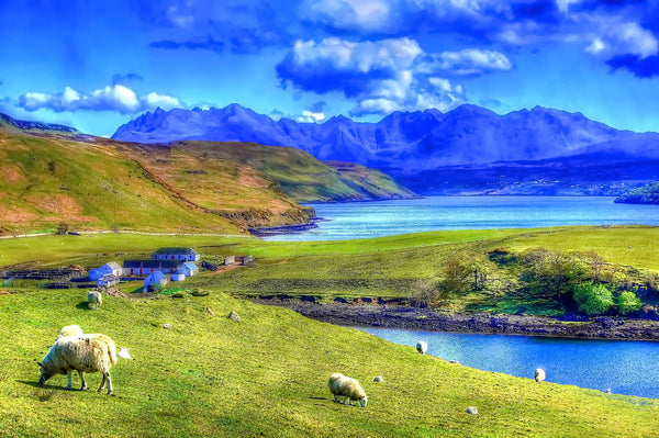 Isle Of Skye - Posters