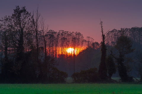 Purple Sunset On Crema's River Park - Framed Prints
