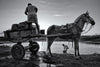 Regret The Drought - Art Prints