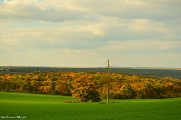 Autumn Colors - Posters