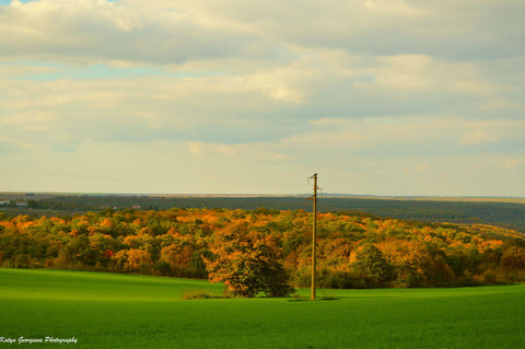 Autumn Colors - Posters