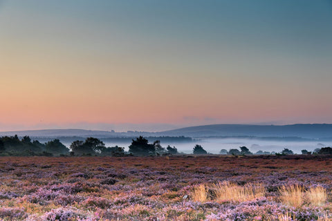 Autumn Dawn 1 - Canvas Prints by Peter Garner