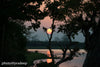 Sunset - Large Art Prints