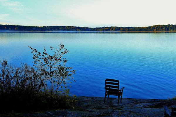 Chair - Canvas Prints