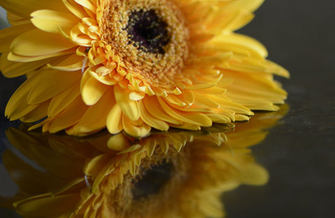 In Mirror - Canvas Prints