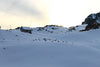 Snow Light - Large Art Prints