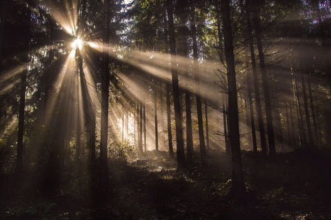 Magical View - Art Prints