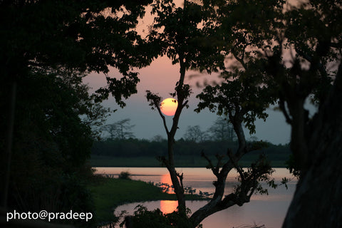 Sunset by Pradeep Shinde