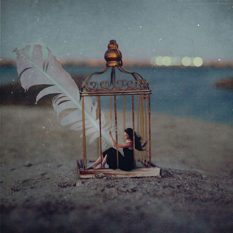 Longing To Fly - Large Art Prints by Mandy Rosen Photography