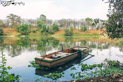 The Last Boat - Large Art Prints
