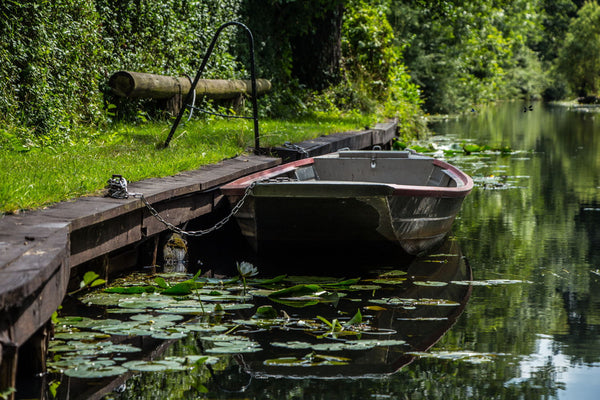 Spreewald - Large Art Prints