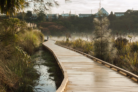 Onepoto Boardwalk - Canvas Prints