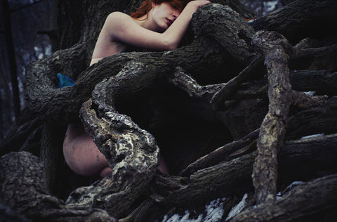 Tranquil - Large Art Prints by Beyond Impression