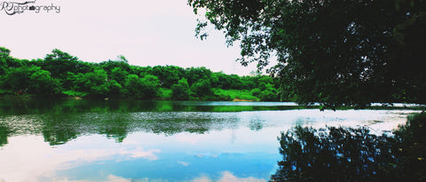 Lake Peace by Rakesh Oswal