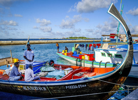 Mechanized Fishing Boats - Framed Prints