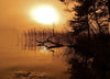 Early Morning - Art Prints