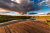 Sztabin - Biebrza - Large Art Prints