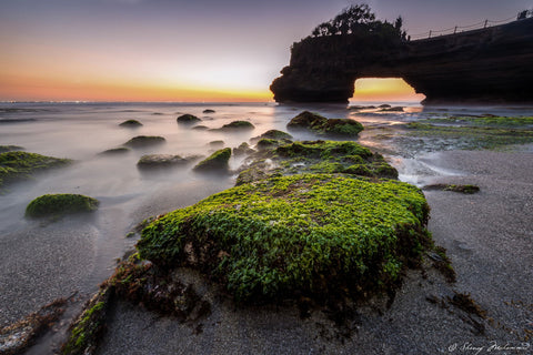 The Hidden Treasure by Shanof Mohammed Photography